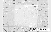 Silver Style Map of Nolan County