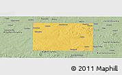 Savanna Style Panoramic Map of Nolan County