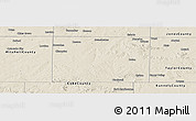 Shaded Relief Panoramic Map of Nolan County