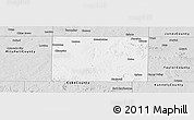 Silver Style Panoramic Map of Nolan County