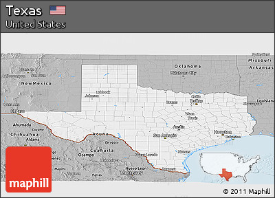 Gray Panoramic Map of Texas