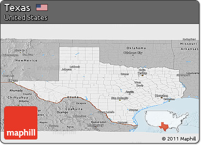 Gray Panoramic Map of Texas