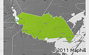 Physical Map of San Patricio County, desaturated