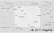 Silver Style 3D Map of Scurry County