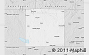 Silver Style Map of Scurry County