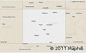 Classic Style 3D Map of Terry County