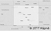 Silver Style 3D Map of Terry County