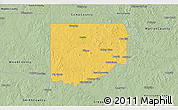 Savanna Style 3D Map of Upshur County