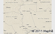 Shaded Relief Map of Waller County