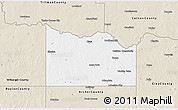 Classic Style 3D Map of Wichita County