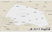 Classic Style 3D Map of Williamson County