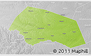 Physical 3D Map of Williamson County, lighten, desaturated