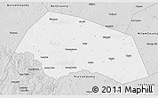 Silver Style 3D Map of Williamson County