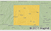 Savanna Style 3D Map of Wise County