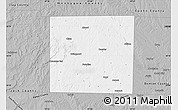 Gray Map of Wise County