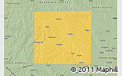 Savanna Style Map of Wise County
