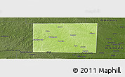 Physical Panoramic Map of Wise County, darken