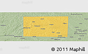Savanna Style Panoramic Map of Wise County