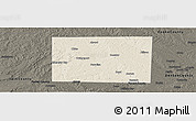 Shaded Relief Panoramic Map of Wise County, darken