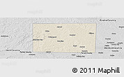 Shaded Relief Panoramic Map of Wise County, desaturated