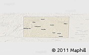 Shaded Relief Panoramic Map of Wise County, lighten