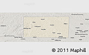 Shaded Relief Panoramic Map of Wise County, semi-desaturated