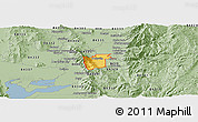 Savanna Style Panoramic Map of ZIP code 84339