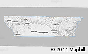 Gray 3D Map of Carbon County, single color outside