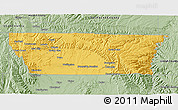 Savanna Style 3D Map of Carbon County