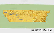 Savanna Style 3D Map of Carbon County, single color outside