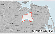 Gray 3D Map of ZIP code 23323