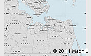 Silver Style Map of ZIP code 23708