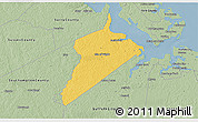 Savanna Style 3D Map of Isle of Wight County