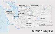 Silver Style 3D Map of Washington, single color outside