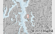 Gray Map of ZIP code 98103