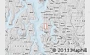 Silver Style Map of ZIP code 98103