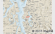 Classic Style Map of ZIP code 98105
