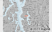 Gray Map of ZIP code 98105