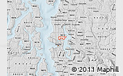Silver Style Map of ZIP code 98105