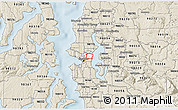 Classic Style 3D Map of ZIP code 98112