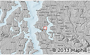 Gray 3D Map of ZIP code 98112