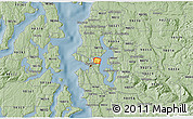 Savanna Style 3D Map of ZIP code 98112