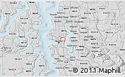 Silver Style 3D Map of ZIP code 98112