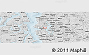 Silver Style Panoramic Map of ZIP code 98112
