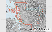Gray Map of ZIP codes starting with 982