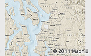 Classic Style Map of ZIP code 98204
