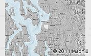 Gray Map of ZIP code 98204