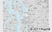 Silver Style Map of ZIP code 98204