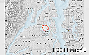 Silver Style Map of ZIP code 98311