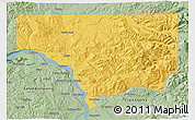 Savanna Style 3D Map of Cowlitz County